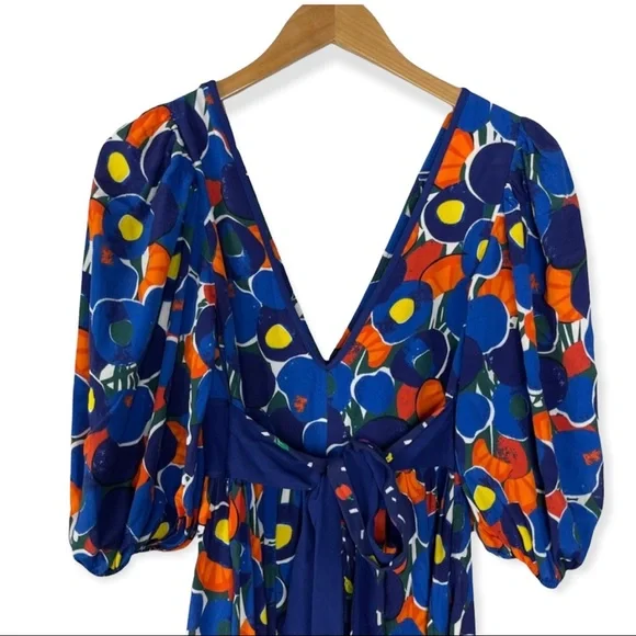 Staud Affogato Dress/ Fruit Maxi